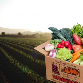 بازار کشاورزی-خرید محصولات کشاورزی