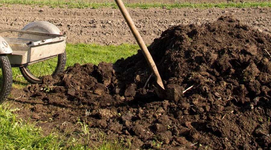 کودهای حیوانی به علت دارا بودن مواد مفید برای تقویت خاک کشاوزی مناسب است و کمک می کند که خاک از لحاظ مواد غذایی مختلف دچار کمبود نشود. کودهای حیوانی - کود مرغی - کود گاوی - کود گوسفندی - کود اسبی