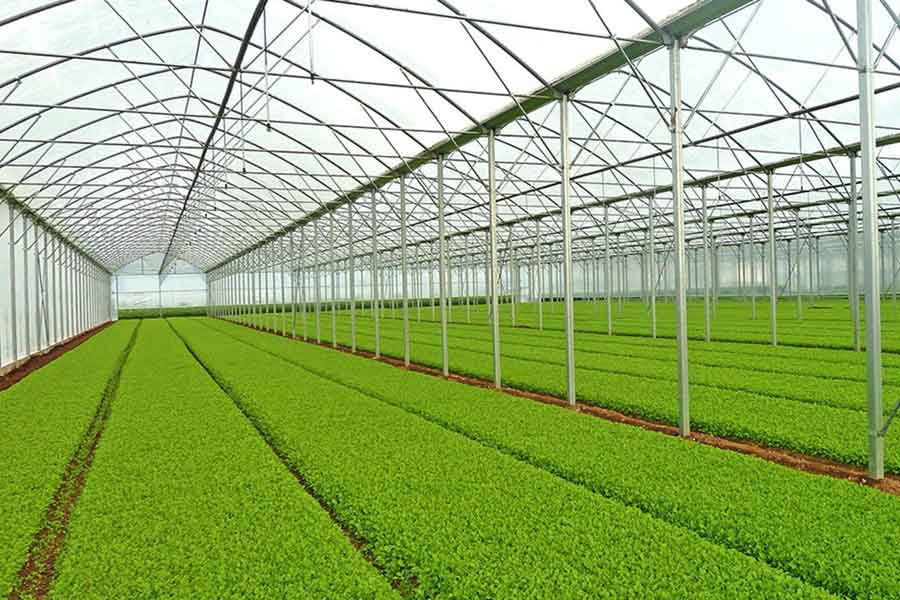 تأمین رطوبت گلخانه -تهویه گلخانه - شرکت بهرویش | فروشگاه انلاین کشاورزی