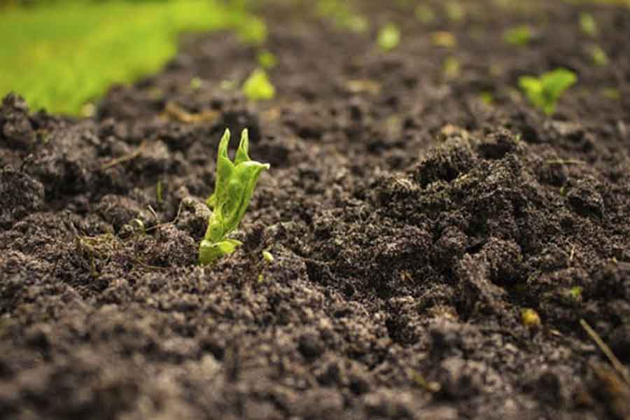 در این مقاله در مورد سه نکته مهم خاک یعنی تفسیر آزمون خاک ،اهمیت آزمون خاک وچگونگی انجام آزمایش خاک صحبت میکنیم شما میتوانید اطلاعات مفیدی از آن دریافت کنید