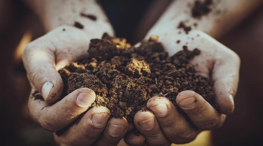 در این مقاله بیشتر در مورد اهمیت خاک در رشد گیاه اطلاعاتی جمع آوری شده. همچنین می توانید اطلاعات مفیدی در مورد خلل و فرج خاک و همچنین بافت خاک بدست آورد.