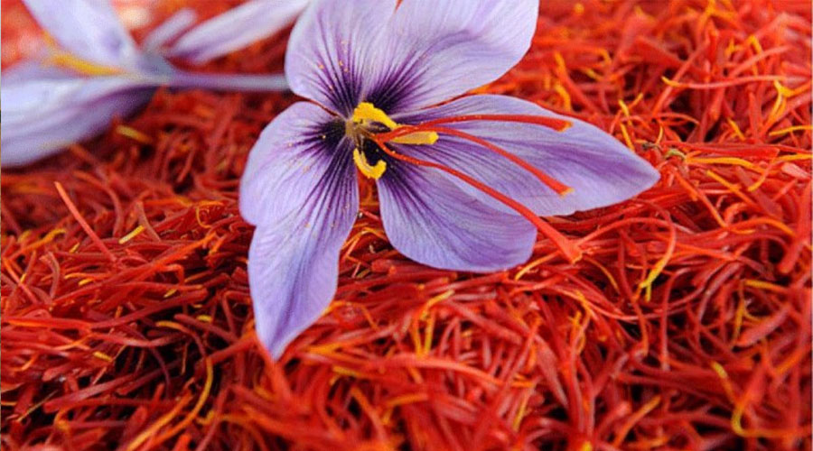 اگر به زعفران علاقه مندید می توانید در این مقاله اطلاعاتی در مورد بازار زعفران که در حال حاضر چگونه می باشد و همچنین زعفران ایران بدست آورید.